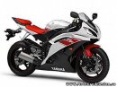 продается yamaha R6